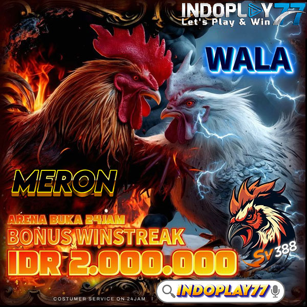 INDOPLAY77 > Link Resmi Agen SV388 Streaming 24 jam Sabung Ayam Online - WooCommerce eCommerce